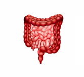 Colorectal Surgery Welcome Image